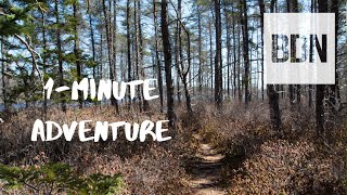 Hiking Corea Heath Preserve in Gouldsboro  1minute hike [upl. by Simpson]