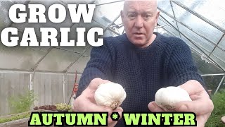 Grow Garlic In Autumn amp Winter Gardening Allotment UK Grow Vegetables At Home [upl. by Aiel]