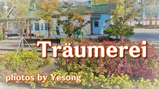 슈만 트로이메라이 피아노 연주 Träumerei piano Kinderszenen Op15 No7 김유정역 Gimyujeong station [upl. by Merkley]