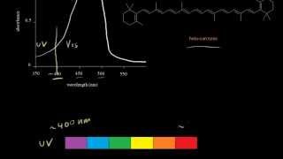 Absorption in the visible region  Spectroscopy  Organic chemistry  Khan Academy [upl. by Paza390]