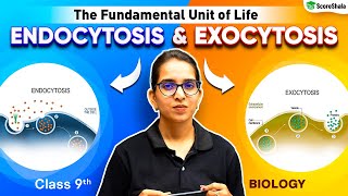 Endocytosis and Exocytosis  Class 9 Biology Chapter 1  The Fundamental Unit of Life [upl. by Wassyngton986]