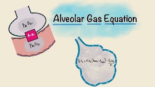 Gas Exchange During Respiration [upl. by Curkell]