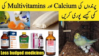 Birds ki calcium or multivitamins ki kami pori kare or double breed len  best for breeding [upl. by Margaret348]