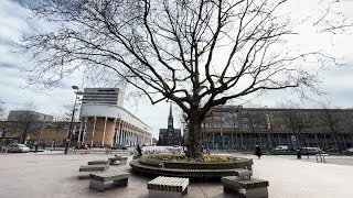 Na 125 jaar wachten heeft Schiedam een monumentale bomenlijst [upl. by Hutchins]