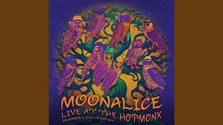 Attics of My Life Live at The Hopmonk [upl. by Yentruoc]