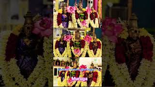 cholla cholla inikudhada muruga songs sollasolla whatsappstatus murugan whatsstatuslordmurugan [upl. by Renaldo]