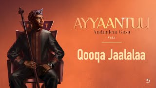 Andualem Gosa  Qooqa Jaalalaa New Oromo Music 2024 [upl. by Ybreh757]