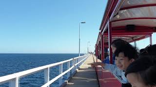 Full Journey of the Famous Busselton Jetty Train to Underwater Observatory Western Australia [upl. by Barclay124]