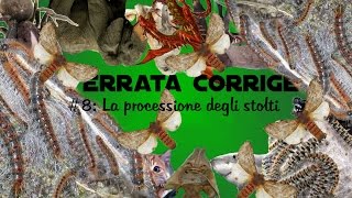 Errata Corrige 8  La processione degli stolti [upl. by Maker]