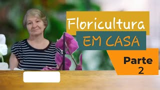 FLORICULTURA EM CASA  Parte2 [upl. by Eerrehc931]