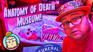 Anatomy of Death Museum  Amazing Collection of Skeletons and Funeral Artifacts  Mount Clemens MI [upl. by Ydnys]