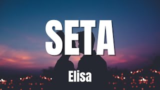 Elisa  Seta TESTO  Lyrics [upl. by Adnael]