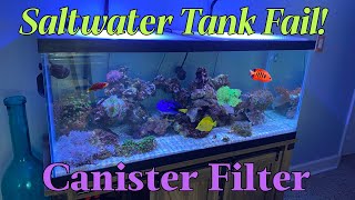 Fixing Saltwater tank with Canister filter [upl. by Drawe951]