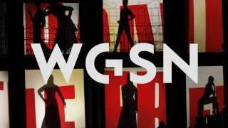 WGSN  What we do [upl. by Erolyat]