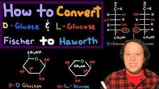 How to Draw Haworth Projections of L and D Glucose from Fischer Projections  Chemistry Tutorial [upl. by Ydeh346]