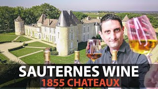 Your Essential Guide to Sauternes  Fine Rare amp Most Expensive Wines from Bordeaux Part3 [upl. by Murrah]