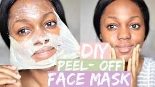 Trying Gelatin Face Mask For The First Time  DIY Peel Off [upl. by Halla]