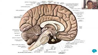 New Cognitive Science Group  10week course begins 7 August [upl. by Laveen202]