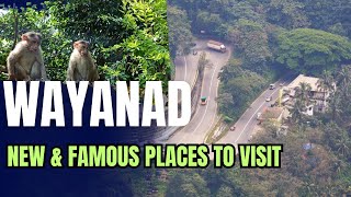 Wayanads Beautiful and Latest Adventure Places To Visit  Wayanad  Places to visit in Wayanad [upl. by Corrinne]