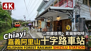 Chiayi／嘉義縣阿里山林業鐵路「十字路車站」周邊 Alishan Forest Railway Shizilu Railway Station／阿里山森林小火車／Taiwan Travel台湾旅行 [upl. by Euqnom685]