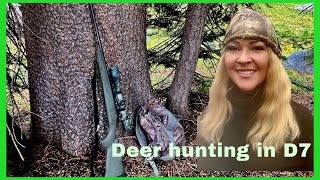 Deer hunting in D7 Ca rifle hunting 2023 [upl. by Ananna]