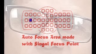 Auto Focus Area mode with Single Focus Mode  How Can Do Best focus Setting  Nikon  HINDI [upl. by Hterag334]