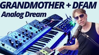 Moog Grandmother  DFAM Analog Dream Team  80er Synthwave Jam [upl. by Gnoy]