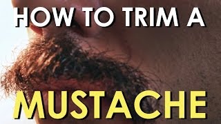 How to Trim Your Mustache  The Art of Manliness [upl. by Nottage]