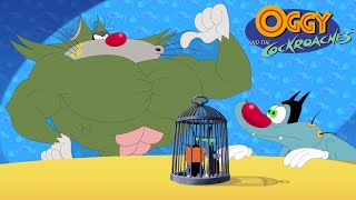 Oggy and the Cockroaches  Jack to the rescue SEASON 7 BEST CARTOON COLLECTION  Episodes in HD [upl. by Amadeo43]