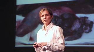 Fishy Marine Objects The Legacy of a Generation of Plastic  Silvia Frey  TEDxYouthZurich [upl. by Ahsatniuq]