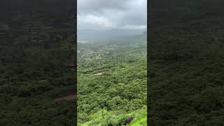 Tikona Fort trekking sahyadri nature forest divine ashortaday ytshorts adventure travel [upl. by Stirling]