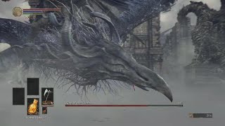 SL1 Nameless king mentally destroyed me again [upl. by Herates]