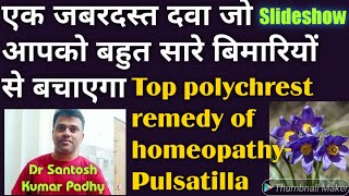 PulsatillaThe best polychrest remedy of homeopathy for many acute and chronic diseases [upl. by Ardnuaet]