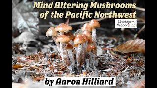 Mind Altering Mushrooms of the Pacific Northwest [upl. by Acul479]