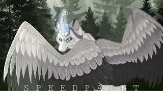 Evergreen  Speedpaint  Procreate [upl. by Doreg]