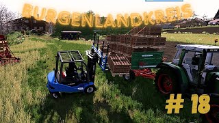 het PALLET avontuur  Burgenlandkreis  FS22  18 [upl. by Jaquith178]