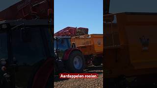 Aardappelen rooien onder goede omstandigheden [upl. by Inus]