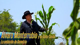 Alvaro Monterrubio y su Santa Cecilia  La ambición de Demetrio [upl. by Setsero269]