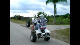 yfz450 wheelie [upl. by Curren969]