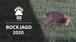 BOCKJAGD 2020  Mein erster Maibock [upl. by Amadas762]