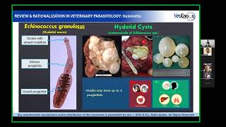 Parasitology Lecture 3 Part 2 [upl. by Naleek706]