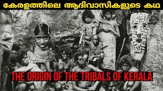 കേരളത്തിലെ ആദിവാസികളുടെ ചരിത്രം  tribals of kerala History  human evolution malayalam [upl. by Sexton]