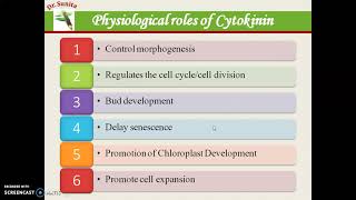 Cytokinin the plant growth hormone [upl. by Retxab]