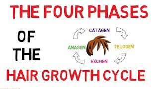 Understanding The Hair Growth Cycle  Adam Explains [upl. by Haidebez]