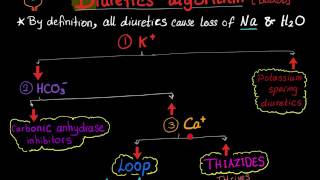 Diuretics algorithm blood electrolytes [upl. by Brentt]