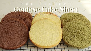 FOOLPROOF 3 Types of Genoise Cake Sheet  no fail recipe  SweetHailey [upl. by Christmas497]