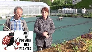 Jardinage Plantation du bac permaculture avec tonnerre dengrais engrais bioagroécologie potager [upl. by Eniffit318]