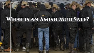 What is an Amish Mud Sale [upl. by Nap228]