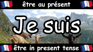 French Conjugation Song  Être  Celtic Music [upl. by Olimpia]