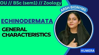 ECHINODERMATA  GENERAL CHARACTERISTICS  BSc ZOOLOGY  Osmania University  humera [upl. by Jestude]